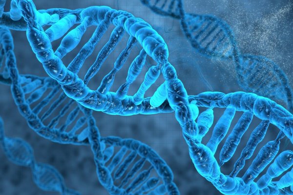 Ученые назвали «прыгающие гены» - паразиты важным эволюционным фактором
