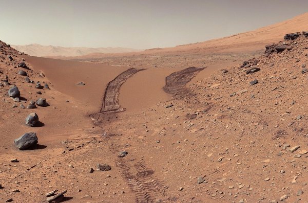 NASA самостоятельно уничтожила свидетельства жизни на Марсе