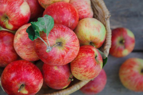 В Роскачестве рассказали как выбирать яблоки без пестицидов