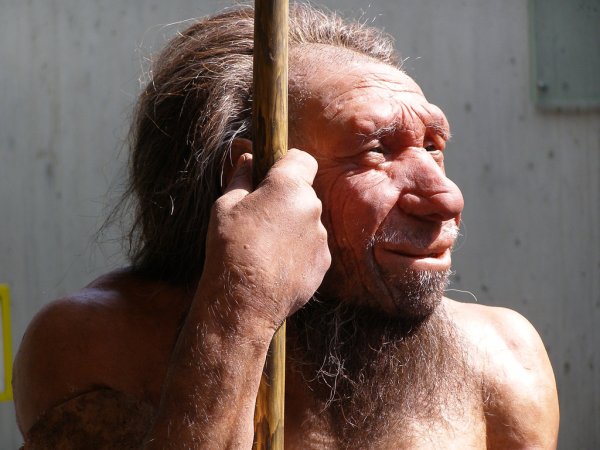 Учёные: Изменения климата помогли Homo sapiens вытеснить неандертальцев