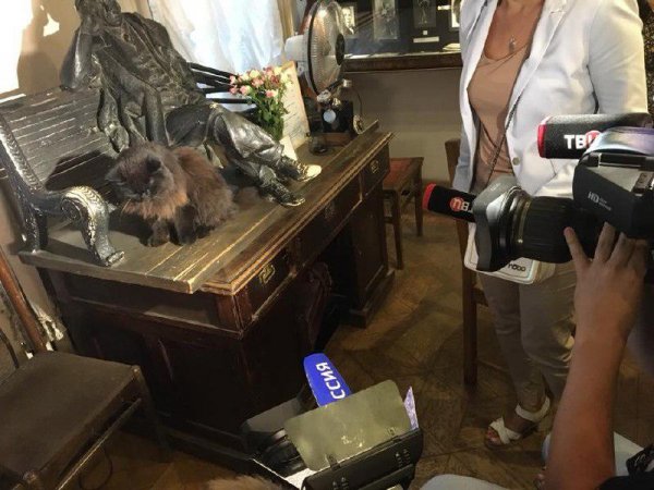 Всё это инсценировка: Лена Миро раскрыла тайну кражи кота Бегемота из музея Булгакова