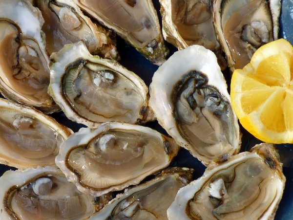 Американские учёные раскрыли, почему любители морепродуктов чаще занимаются любовью