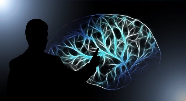 Ученые назвали обманывающие людей ловушки мозга