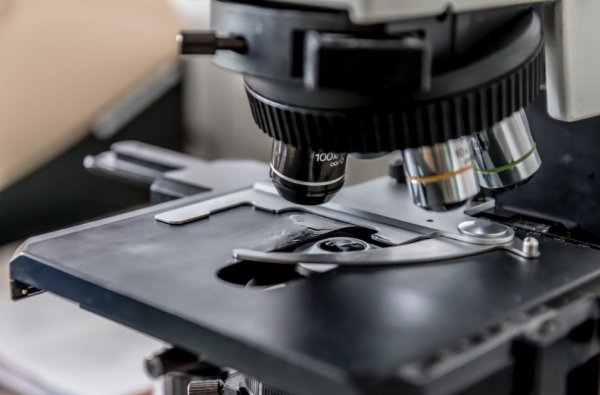 Ученые изобрели микроскоп для измерения мышечной слабости