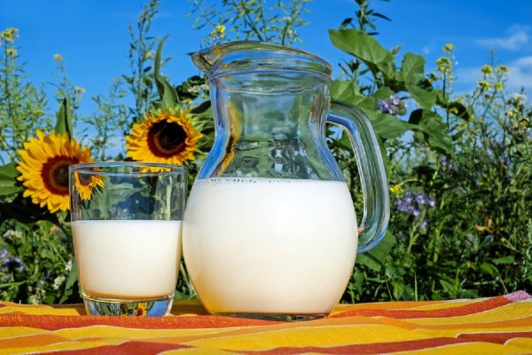Названы пять «альтернативных молочных продуктов»