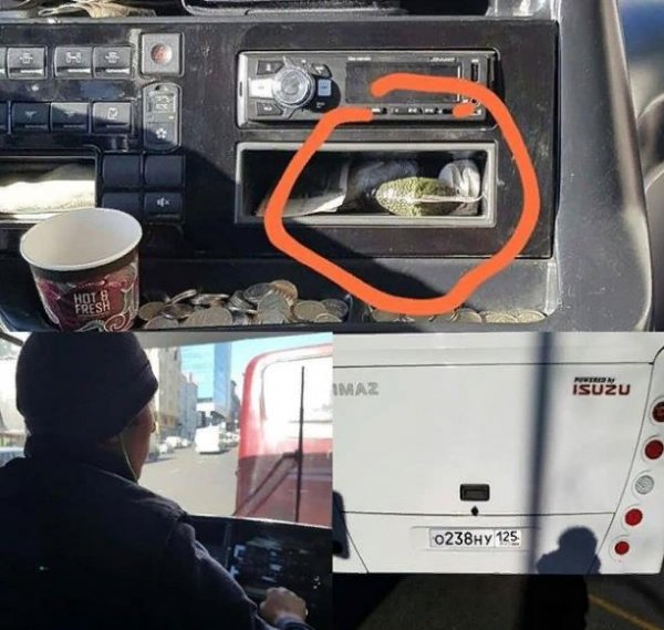 «Остановка – Матрица»: Во Владивостоке замечен водитель автобуса, употребляющий насвай – сеть