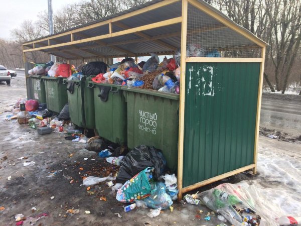 В Ростове образовался мусорный коллапс