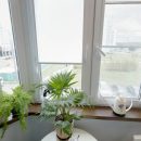 Как установить пластиковые окна в Раменском с гарантией