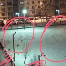 Инопланетяне оставили в Ростове загадочные картинки в виде половых органов Инопланетяне оставили в Ростове загадочные картинки в виде половых органов
