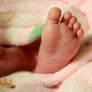 В Ростовской области родители дали имя сыну Красавчик В Ростовской области родители дали имя сыну Красавчик