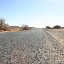 Ростовская область превращается в пустыню