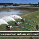 Как правильно выбрать мотопомпу: виды и сфера применения
