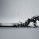 В России решили вывести табак из легального оборота В России решили вывести табак из легального оборота