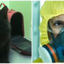 Биологическая атака в действии?: В Москве выбросили на улицу кота, зараженного опасным вирусом
