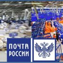 Вы ждали, а ее забрали: Клиентка «Почты России» пожаловалась на исчезновение посылки из отделения Вы ждали, а ее забрали: Клиентка «Почты России» пожаловалась на исчезновение посылки из отделения