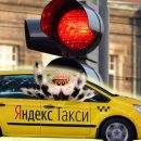 Дикое шоу с пауком: Водитель Яндекс.Такси возмутил пассажира неадекватным поведением Дикое шоу с пауком: Водитель Яндекс.Такси возмутил пассажира неадекватным поведением