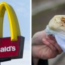 Ошиблись или наплевали?: McDonalds в Москве подменяет срока годности на «просрочке» — клиент Ошиблись или наплевали?: McDonalds в Москве подменяет срока годности на «просрочке» — клиент