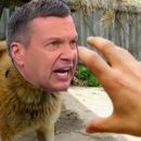 Цепной пес режима: Соловьев «разорвал» офицера ФСБ, обвиненного в коррупции Цепной пес режима: Соловьев «разорвал» офицера ФСБ, обвиненного в коррупции