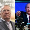 Жириновский предложил депутатам «чувствительный» просмотр «Прямой линии» Путина Жириновский предложил депутатам «чувствительный» просмотр «Прямой линии» Путина